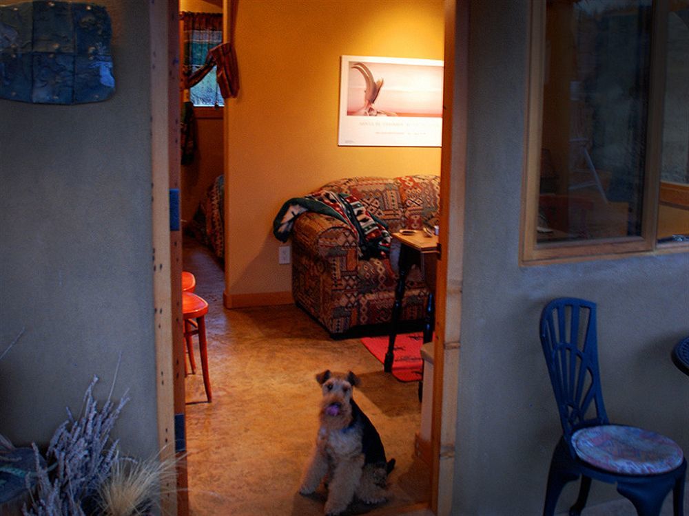 Bighorn Ridge Guesthouse Okanagan Falls Екстер'єр фото