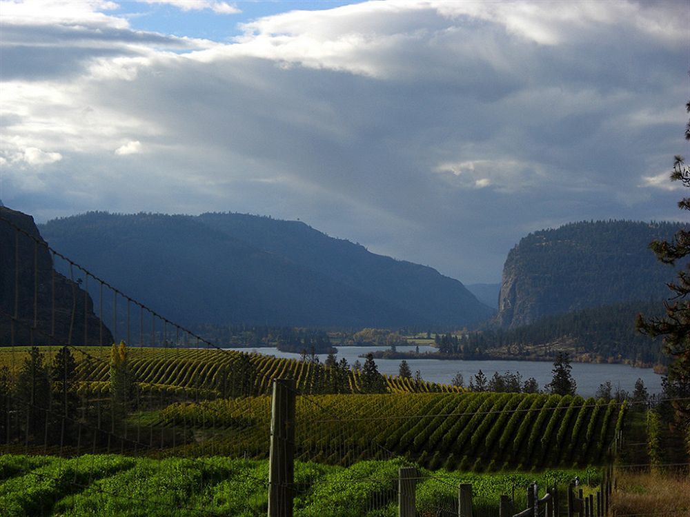 Bighorn Ridge Guesthouse Okanagan Falls Екстер'єр фото