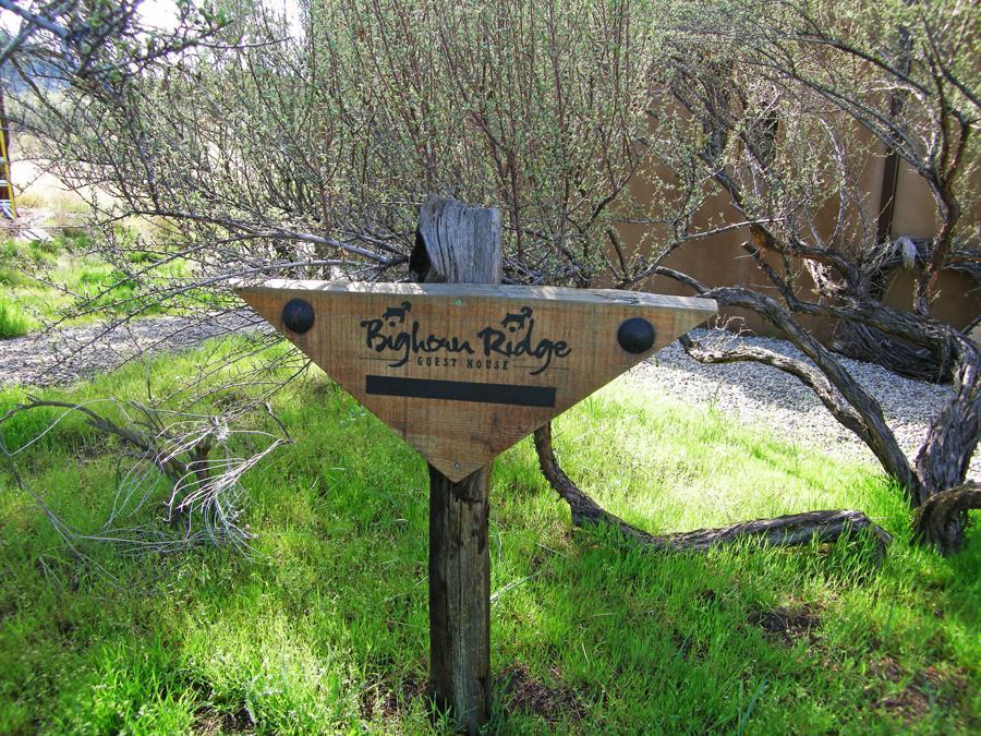 Bighorn Ridge Guesthouse Okanagan Falls Екстер'єр фото